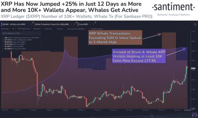 XRP salta un +25% en 12 días: ¿Continuará el impulso?