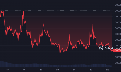 Memecoin BONK bajó un 30% en 7 días: ¿y ahora qué?