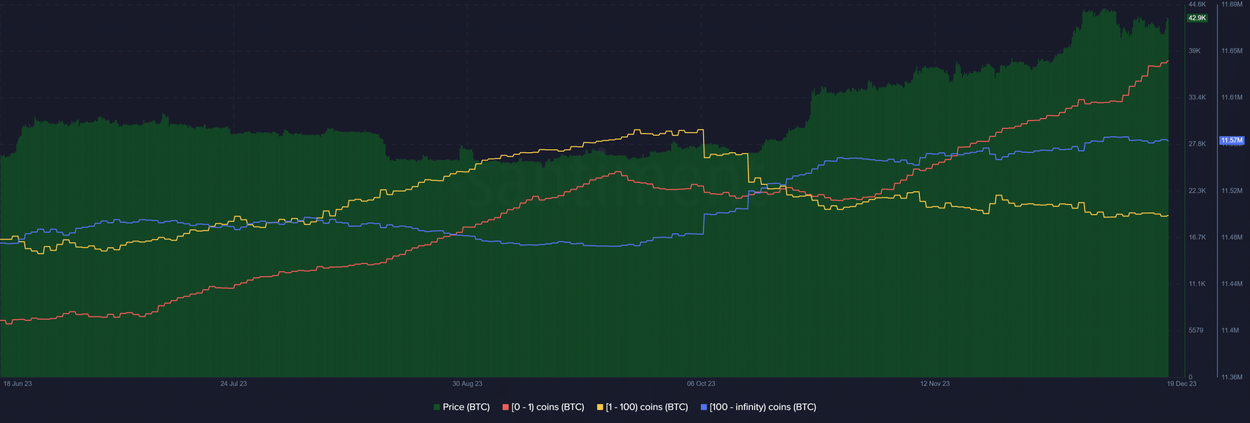 Distribución de suministro de Bitcoin