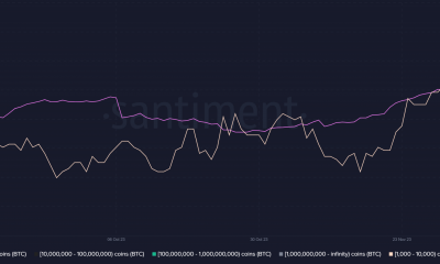 Distribución de suministro de Bitcoin