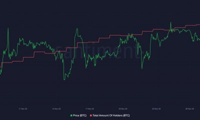 Por qué los osos de Bitcoin están sintiendo el dolor