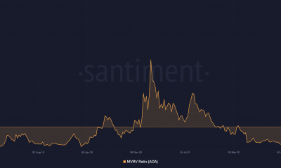 Cardano: ¿Qué sigue para ADA mientras los pequeños propietarios se rinden ante las ballenas?