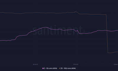 Distribución de suministro de Cardano