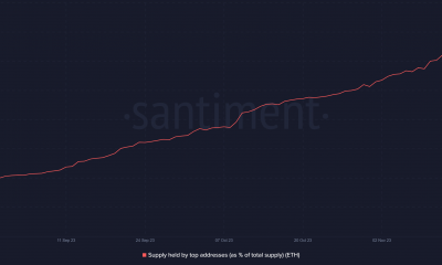 Tenencias de ballenas Ethereum