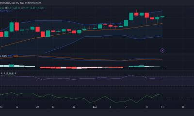 XRP vs Solana: ¿Quién terminará 2023 con mejor nota?