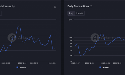 Cardano: Qué alto desarrollo.  La actividad nos habla de la red.