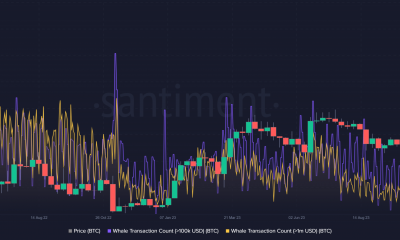 Transacciones de ballenas Bitcoin