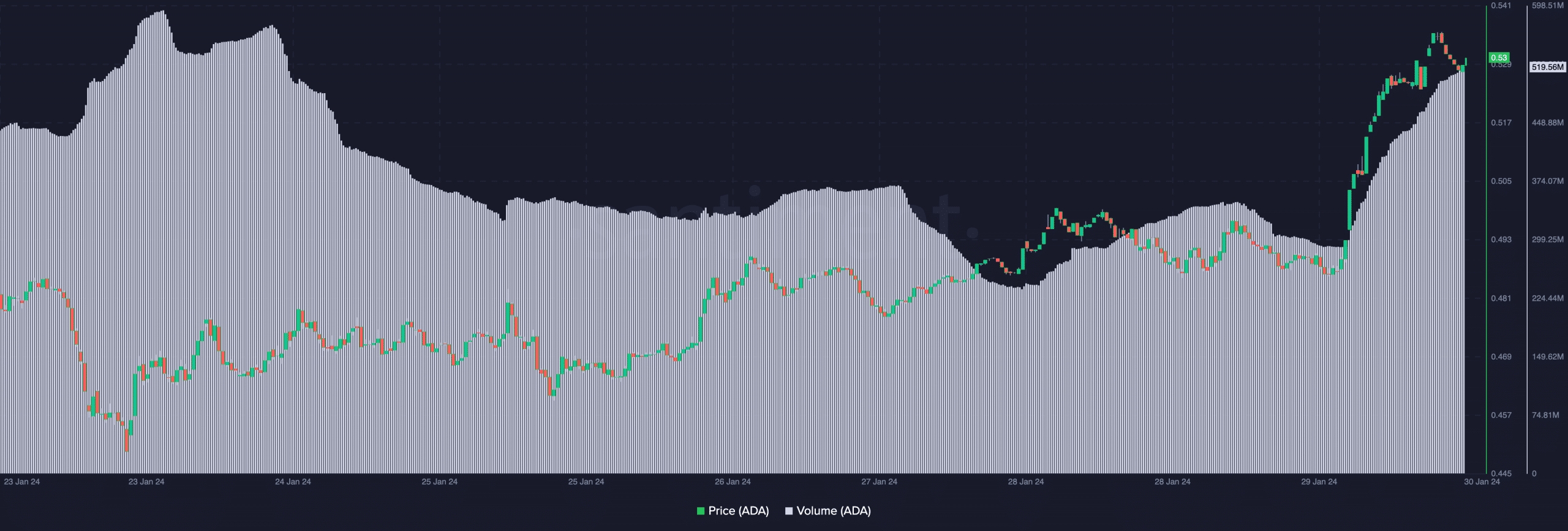 El volumen de Cardano y el precio de ADA