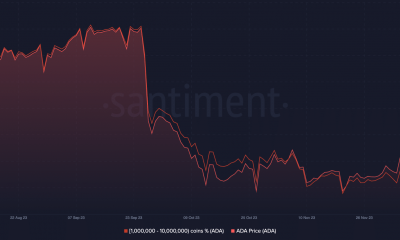 El precio de ADA y las ballenas Cardano aumentan su oferta