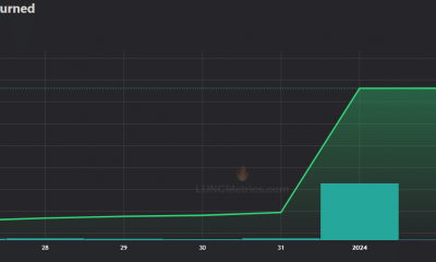 LUNC quema 100 millones de tokens y el precio sube un 6% en 24 horas