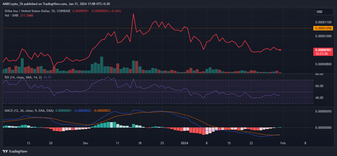 SHIB espera un mejor febrero después de perder un 14,50% en enero