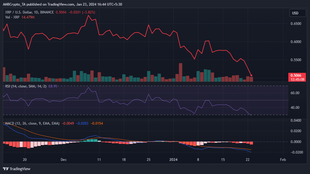 XRP cae al mínimo de 3 meses: esto es lo que piensan sus ballenas