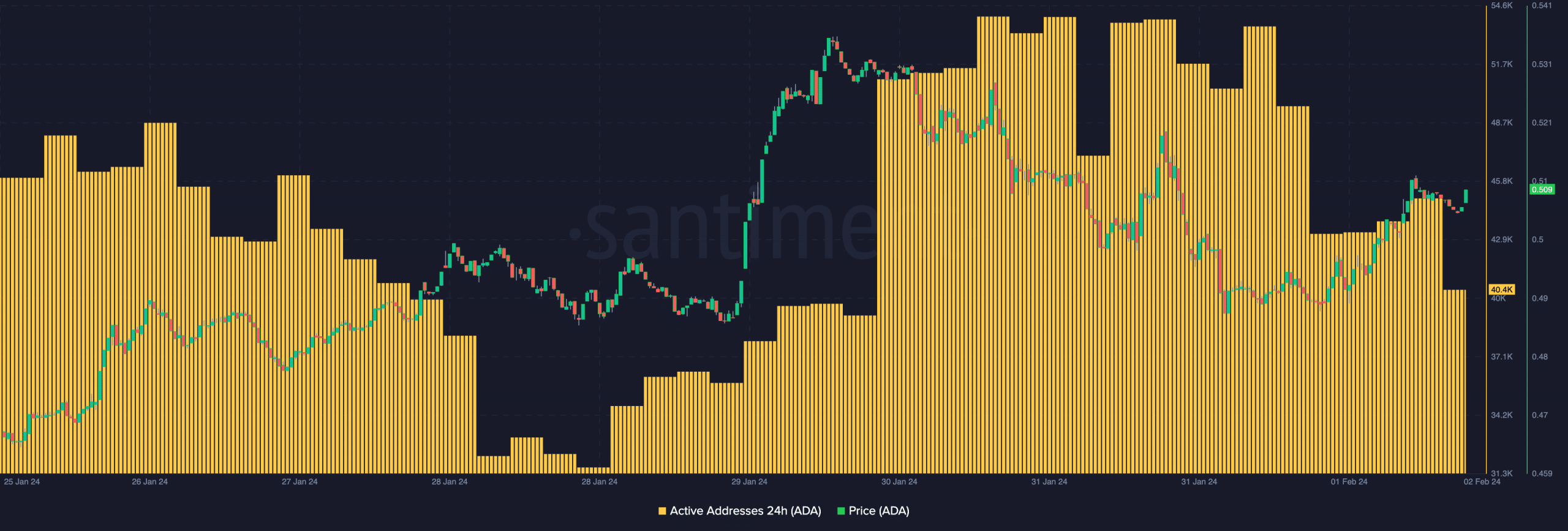 Gráfico que muestra las direcciones activas de Cardano y la acción del precio de ADA