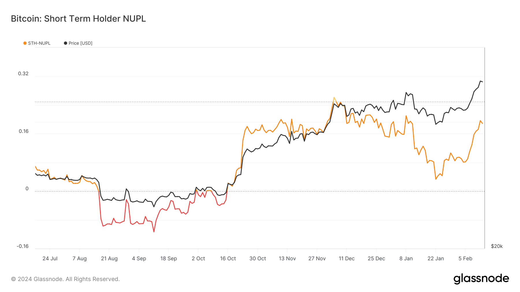 Los poseedores de Bitcoin muestran esperanza en la moneda como lo muestra el STH-NUPL