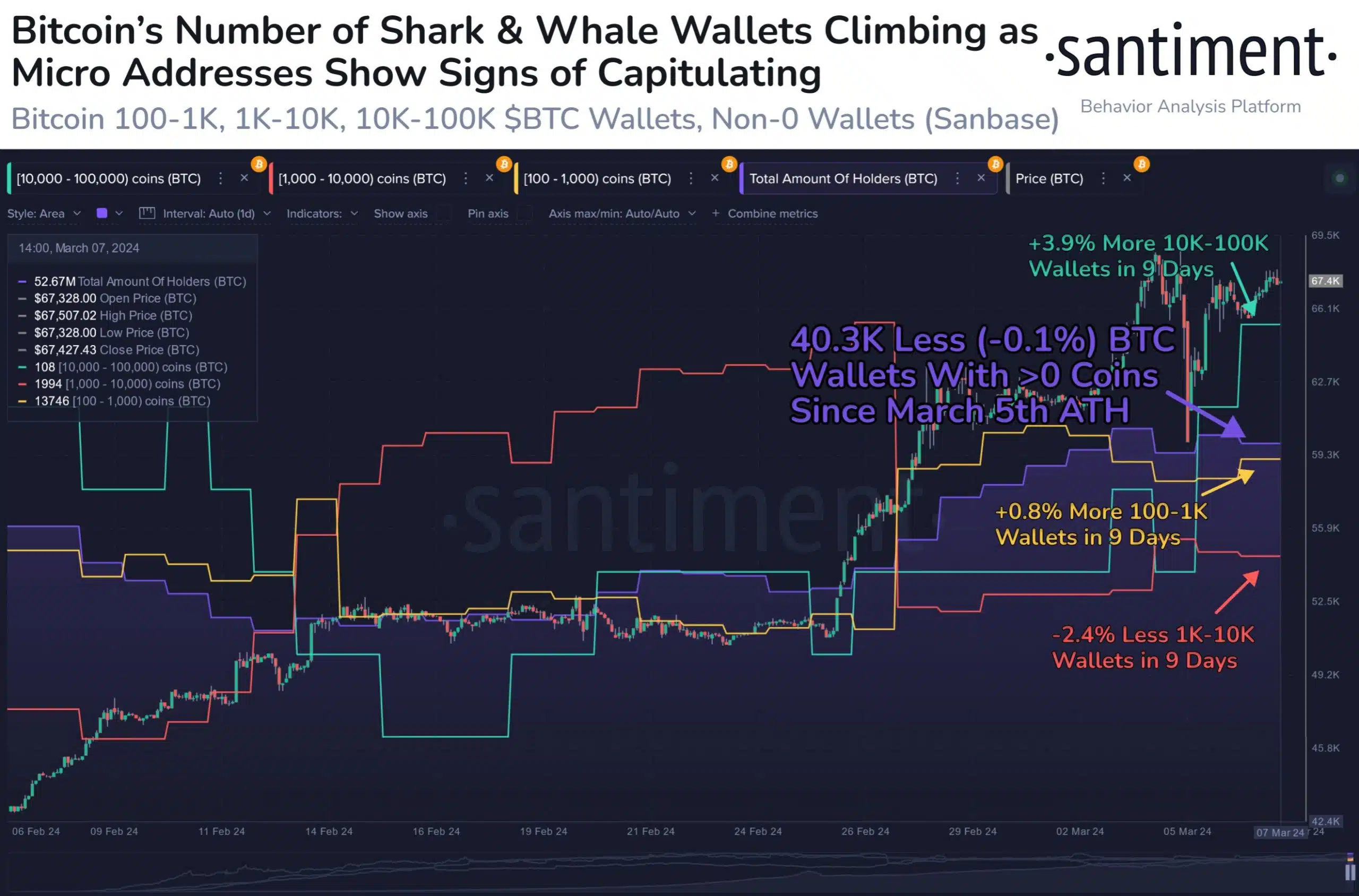 Las ballenas Bitcoin están "comprando la caída", pero ¿deberías seguirlas?