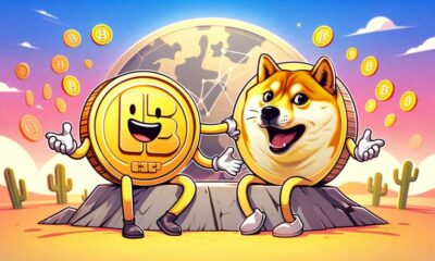 ¿Deberías deshacerte de Dogecoin por ICP?  Esto es lo que te dice el mercado