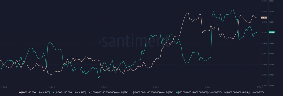 Direcciones de ballenas Bitcoin