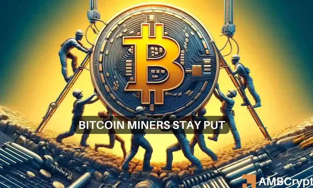 Los mineros de Bitcoin se niegan a vender: ¿una estrategia para mantener los precios de BTC?