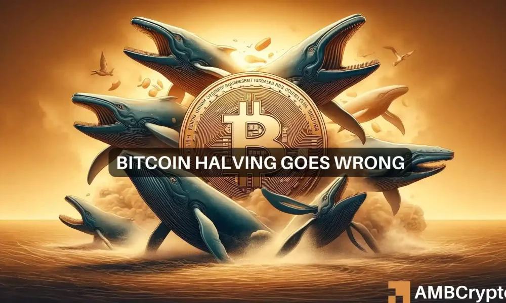 La caída del precio de Bitcoin después de la reducción a la mitad revela ESTO sobre el comportamiento de las ballenas