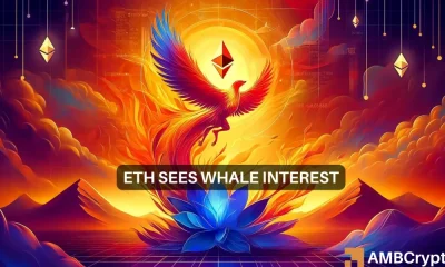 Las ballenas Ethereum se sumergen: ¿recuperación a largo plazo o aumento a corto plazo?