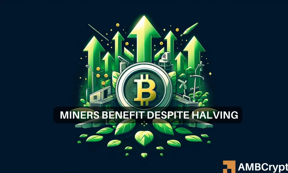 Runes ayuda a los mineros de Bitcoin de esta manera después del halving