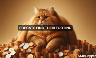 POPCAT – ¿Es hora de vender después de un aumento del 205% en 7 días?