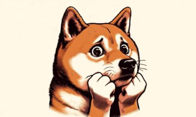 Shiba Inu: No descartes ESTA posibilidad del precio de SHIB porque…