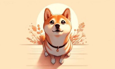 Shiba Inu: Por qué no deberías apostar fuerte por el aumento del 6% de SHIB