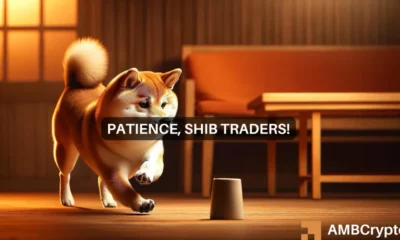 Predicción del precio de Shiba Inu: dos razones por las que los inversores de SHIB están dispuestos a mantener