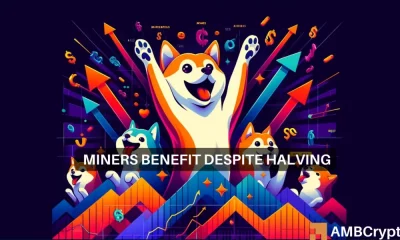 Shiba Inu aumenta un 18% en 24 horas: ¿La reducción a la mitad de Bitcoin ayudó a que SHIB se recuperara?