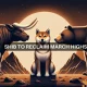 Seguimiento de los próximos movimientos de Shiba Inu después de la reducción a la mitad de Bitcoin