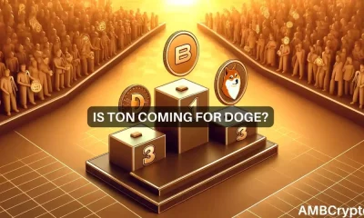 ¿Dogecoin fuera del Top 10?  Todo sobre la carrera de TON hacia el puesto 8