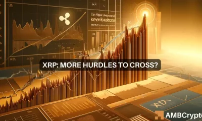 XRP recupera $0,5: explicación del reciente repunte de Altcoin