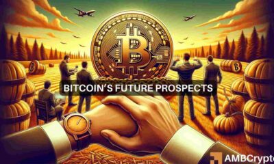 Lo que nos dice la historia posterior a la reducción a la mitad de Bitcoin sobre los precios de BTC en 2024