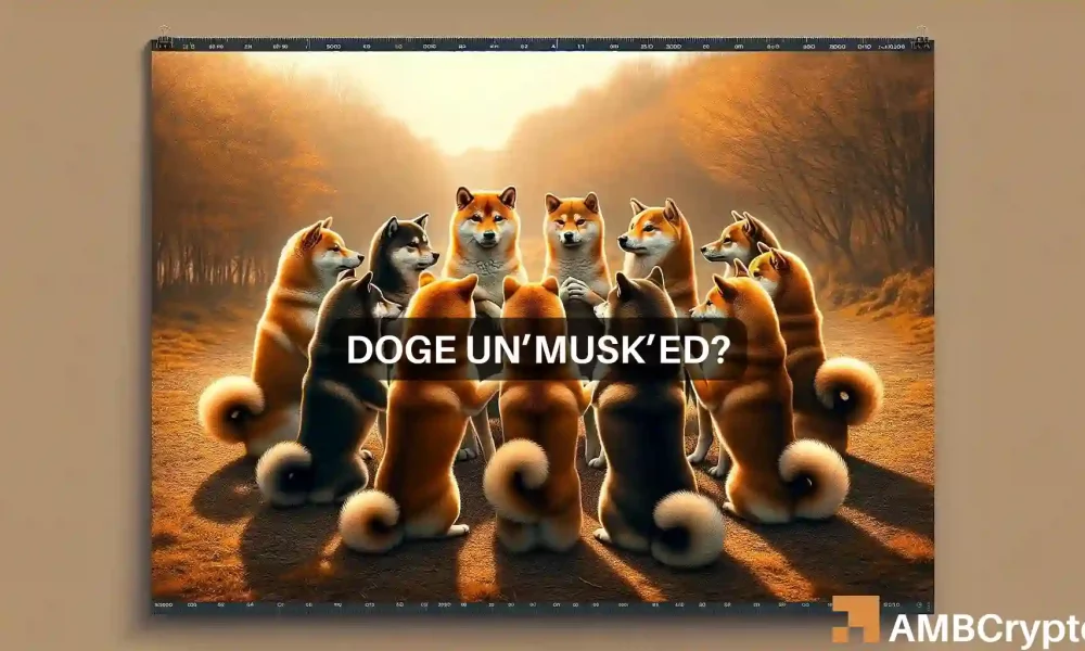 Dogecoin: 'Not Elon Musk' compra DOGE por valor de 45 millones de dólares y muchos se preguntan...