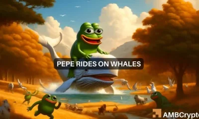 Whale compra 211 mil millones de tokens PEPE… ¿gracias al impacto de la reducción a la mitad de Bitcoin?