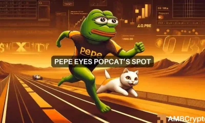 ¿Puede la señal alcista del PEPE ayudarle a replicar el aumento del 59% del POPCAT, con sede en Solana?