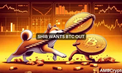 Shiba Inu: predicción de un aumento de precios del 200% del indicador clave después de la ruptura con Bitcoin