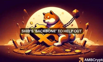 La caída del 10% de Shiba Inu frente al aumento de Shibarium: ¿Cómo se desarrollará esto?