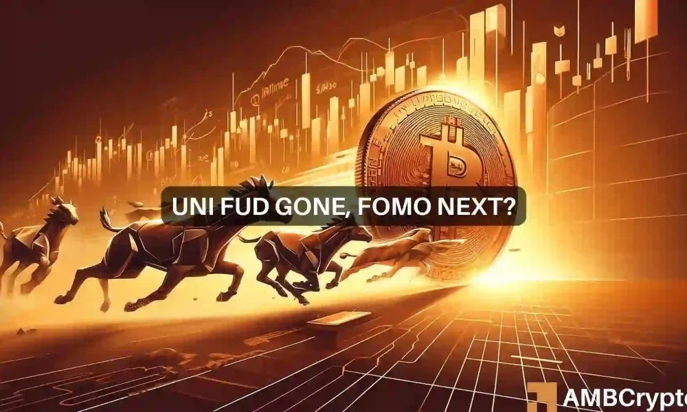 Uniswap [UNI] ¿Será un caballo oscuro después de la reducción a la mitad de Bitcoin?