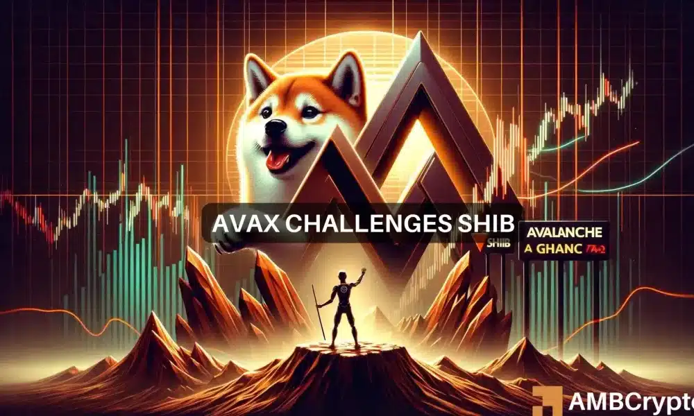 Shiba Inu kontra Avalanche: Czy AVAX zagraża zarządzaniu SHIB?