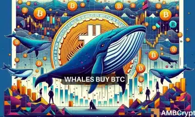 Aumento del precio de Bitcoin a $64,000 – Las ballenas tuvieron ESTE papel que desempeñar aquí