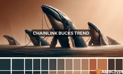 El último máximo de varios meses de Chainlink: todo sobre cómo afecta el precio de LINK
