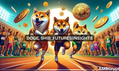 Dogecoin vs Shiba Inu: este memecoin perderá mucho al vender olas