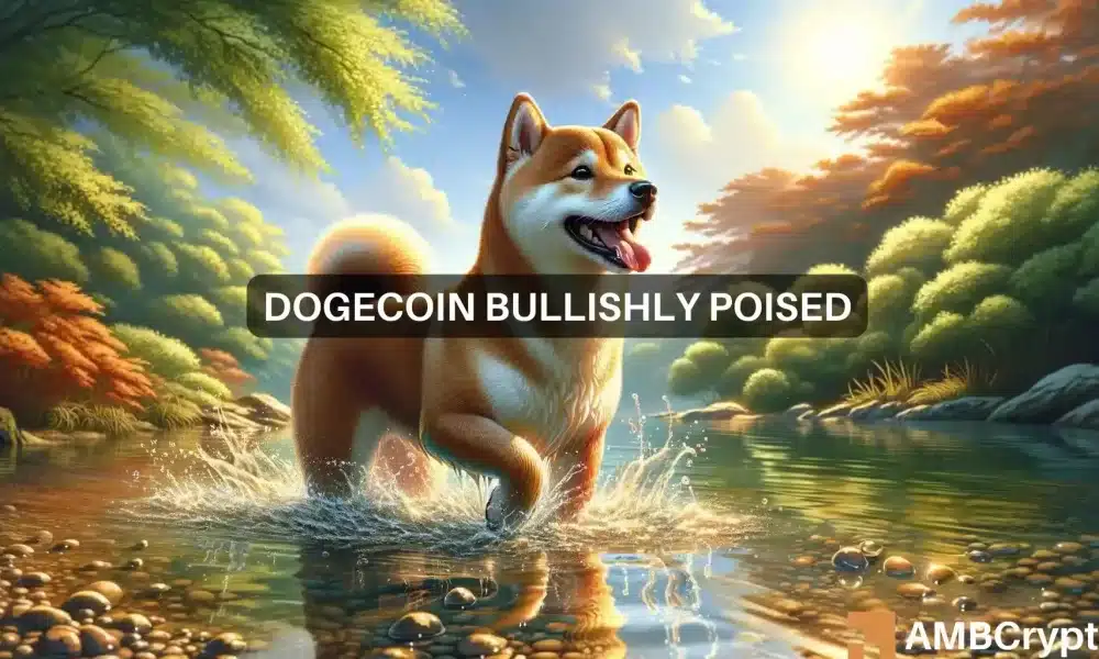 ¿Por qué Dogecoin? [DOGE] No puedo subir más allá de ESTE nivel en este momento.
