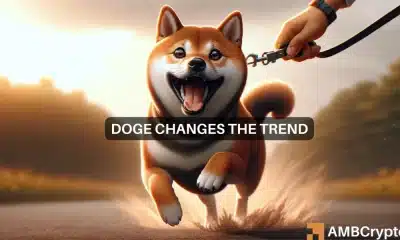 El aumento del 15% de Dogecoin en 7 días significa ESTO para sus tenencias de DOGE