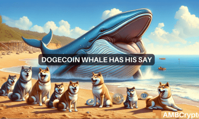 Identificar si la transferencia de 30 millones de dólares de la ballena Dogecoin es la primera señal de una liquidación