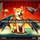 Dogecoin: Las ballenas cambian 17 mil millones de DOGE a medida que los precios caen y eso significa...