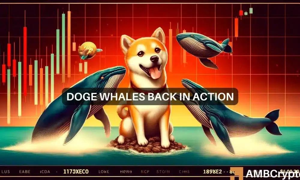 Dogecoin: Las ballenas cambian 17 mil millones de DOGE a medida que los precios caen y eso significa...