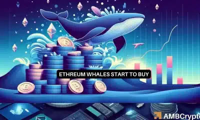 La ballena Ethereum acumula 15K ETH: ¿Esto finalmente ayudará a los precios?